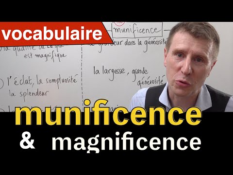 [DELF C1 C2] Améliore ton vocabulaire Paronymes Munificence et Magnificence