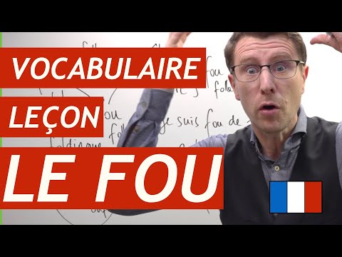 vocabulaire la folie improve french vocabulary lesson in french