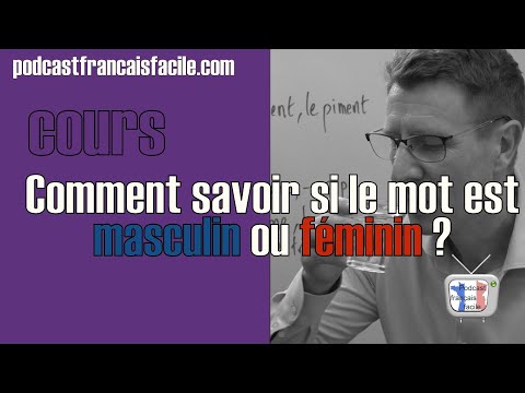Comment savoir si un mot est masculin ou féminin (niveau A1/A2)