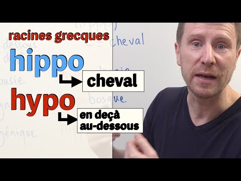HIPPO ou HYPO leçon orthographe français facile