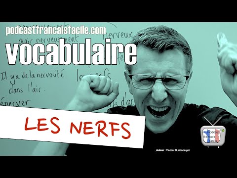 leçon de vocabulaire les nerfs