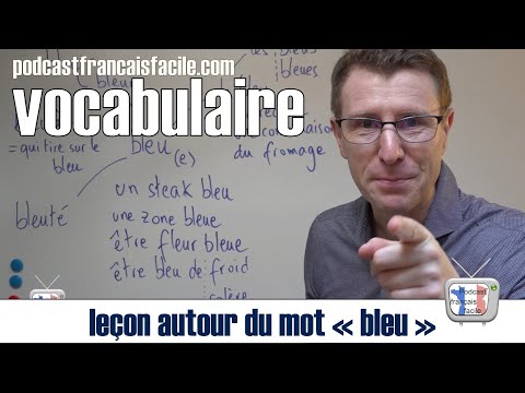 Leçon vocabulaire français cours FLE LE BLEU