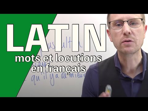 10 expressions latines très utilisées en français