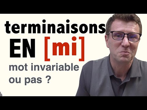 Mots qui se terminent en MI. Orthographe niveau B2/C1