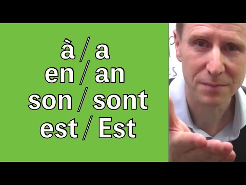 🇫🇷 HOMONYMES - leçon en français facile - Niveau B1
