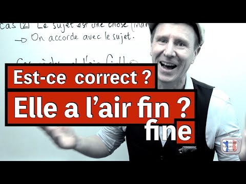 L’AIR FIN.e - comment accorder « avoir l’air »