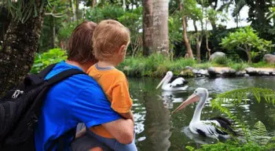 Visite au zoo