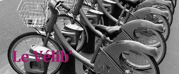 velib fle