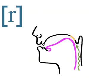 Prononciation française consonnes suivies de R