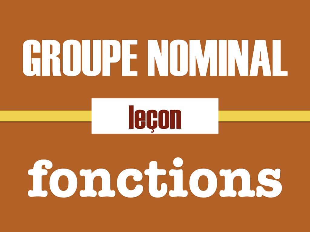 Fonctions du groupe nominal