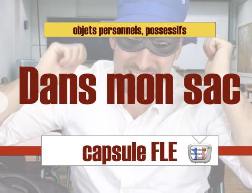 Dans mon sac, il y a ...