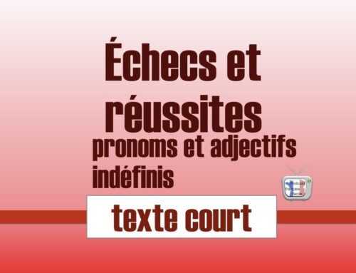 Pronoms et adjectifs indéfinis : texte court – Échecs et réussites