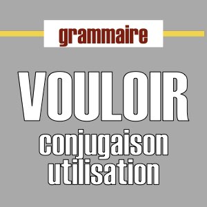 conjugaison et utilisation de VOULOIR