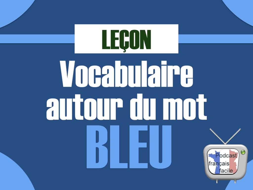 lecon de vocabulaire autour du mot bleu