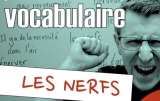 définition nerfs