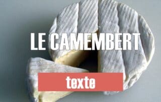 camembert texte fle dalf C1