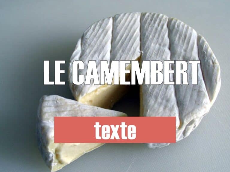 camembert texte fle dalf C1