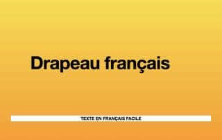 drapeau français change couleur