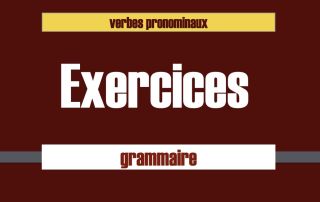 Verbes pronominaux exercices au présent