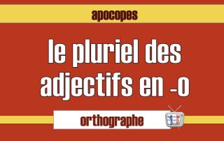 pluriel adjectifs en o