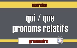 exercice qui que pronoms relatifs