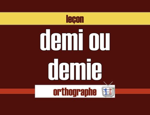 Orthographe : demi ou demie