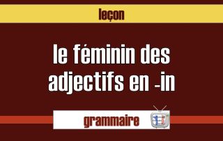 féminin des adjectifs en -in