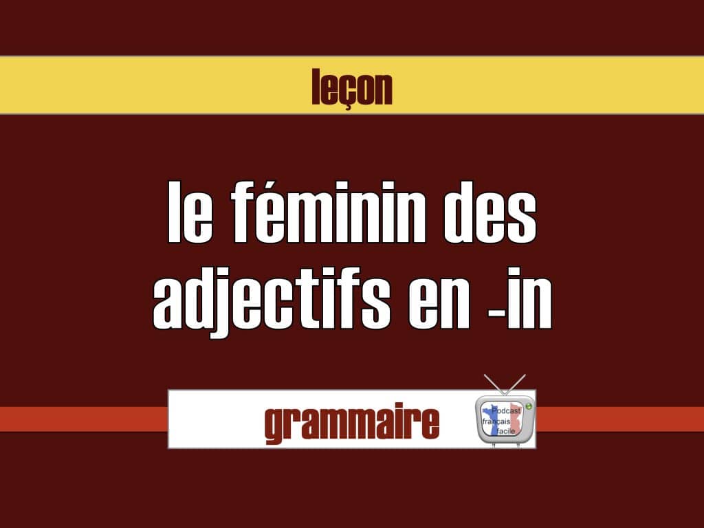 féminin des adjectifs en -in