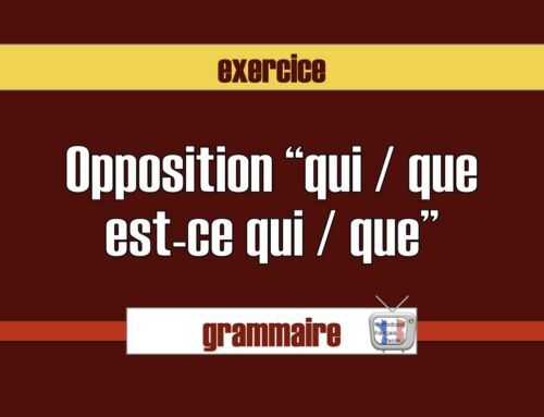 « qu’est-ce qui », « qui est-ce qui », « qu’est-ce que » et « qui est-ce que » exercices