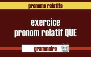 Pronom relatif que exercice FLE