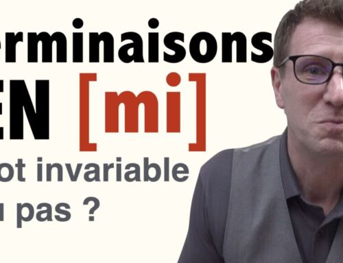 Mots se terminant par -mi