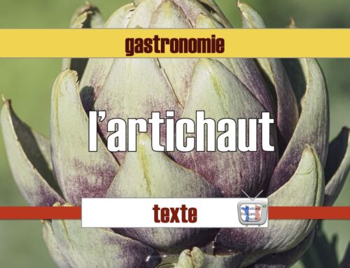 texte documentaire sur la tour eiffel L’Artichaut, un légume en perte de vitesse