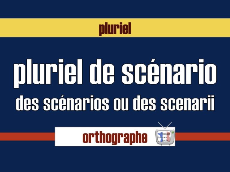 pluriel de scénario