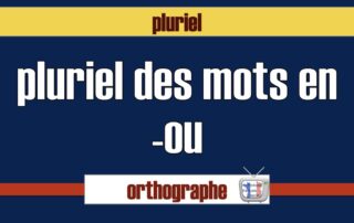 pluriel des mots en ou