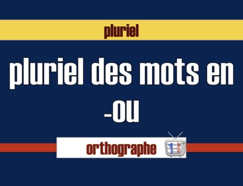 Pluriel des mots en ou