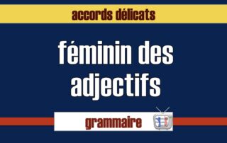 féminin des adjectifs en français