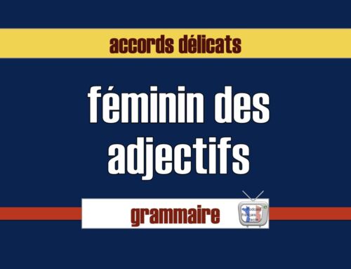 Accord des adjectifs au féminin