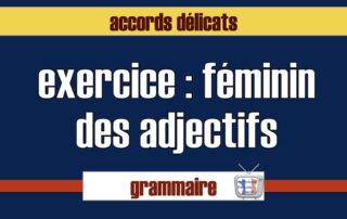 exercice féminin adjectif