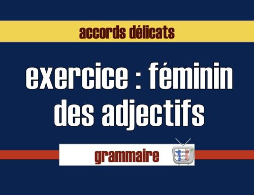 Exercice adjectif féminin