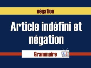 article et négation