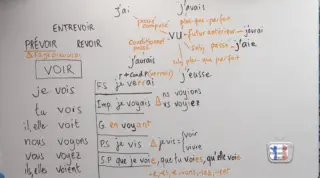 conjugaison du verbe voir à tous les temps