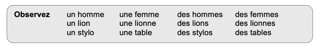 article et nom en francais - article indefini et article defini leçon