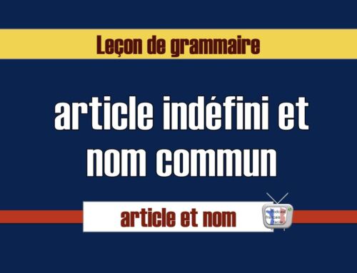 article indéfini et le nom en français