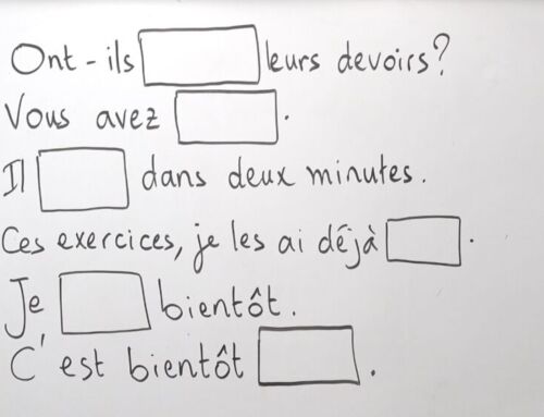 Exercice - comment trouver la terminaisons de "fini"