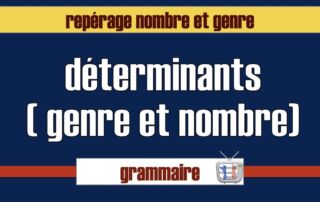 determinant genre et nombre en français exercice