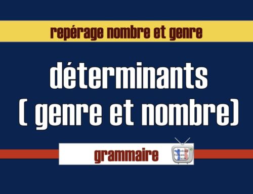 Repérage genre et nombre du nom exercice