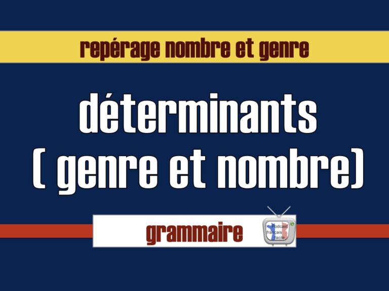 determinant genre et nombre en français exercice