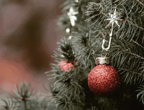 Un Noël peu ordinaire